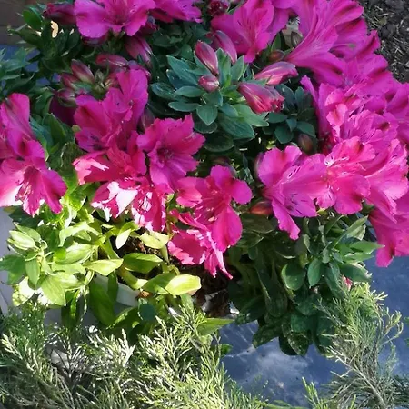 Ferienhaus Yellow 1 By Interhome