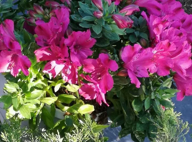 Vakantiehuis Yellow 1 By Interhome